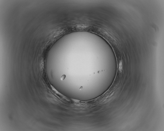 X0000111901299200908101132