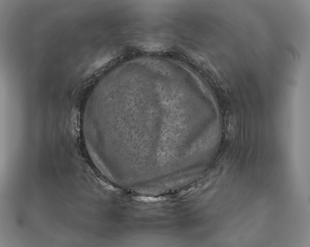 X0000111901301200908101132