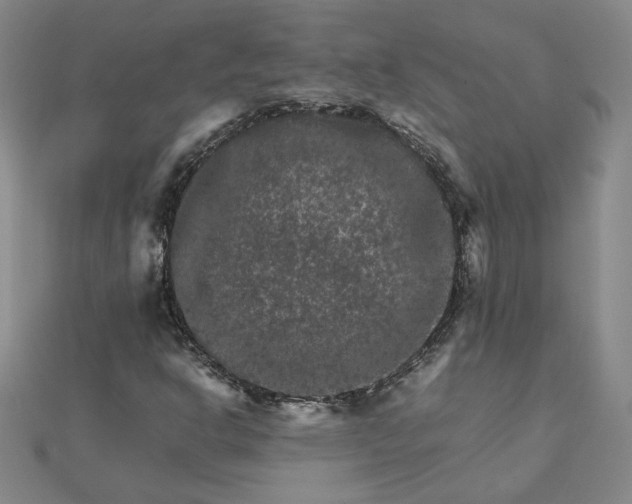 X0000111901302200908101132