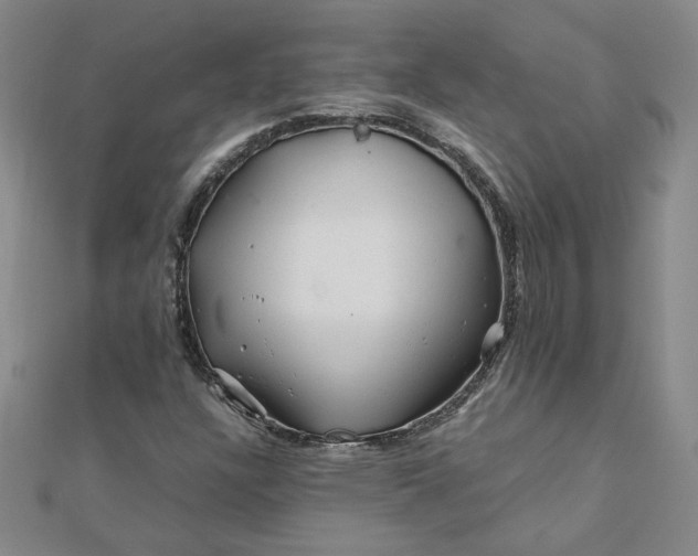 X0000111901304200908101132