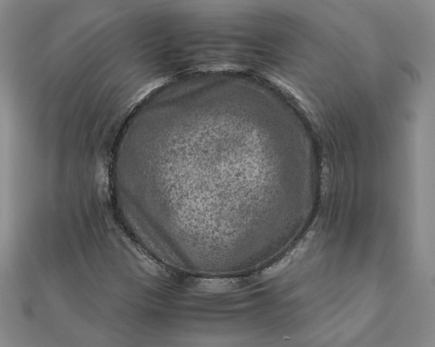 X0000111901305200908101132