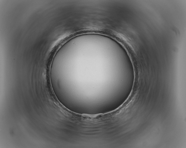 X0000111901307200908101132