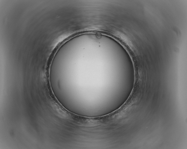 X0000111901308200908101132