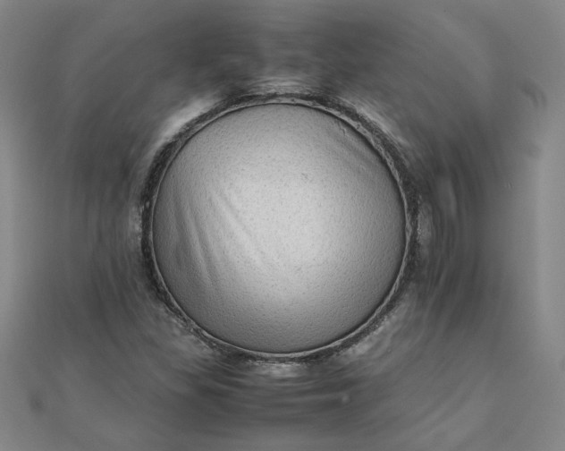 X0000111901309200908101132