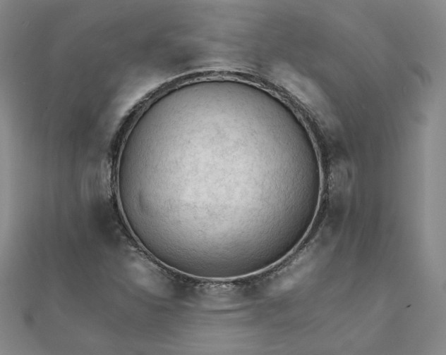 X0000111901310200908101132