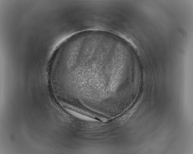 X0000111901311200908101132