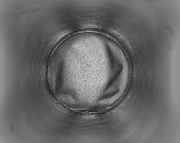 X0000111901313200908101132