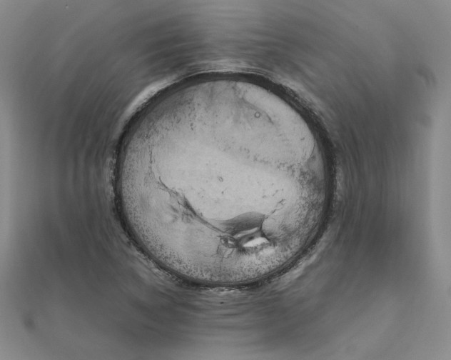 X0000111901314200908101132