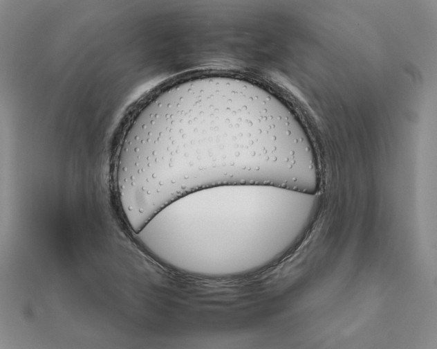 X0000111901315200908101132