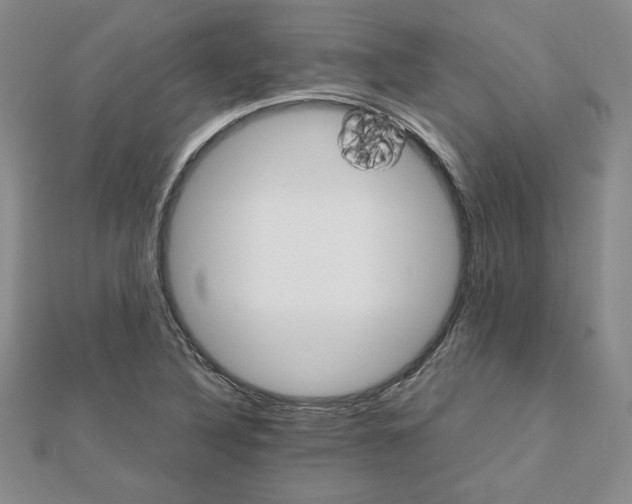 X0000111901316200908101132