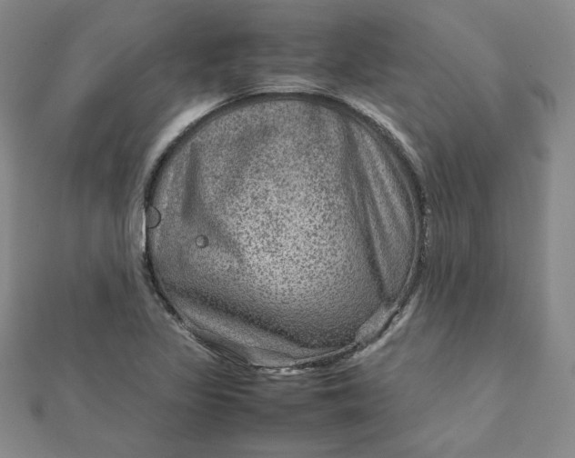 X0000111901317200908101132