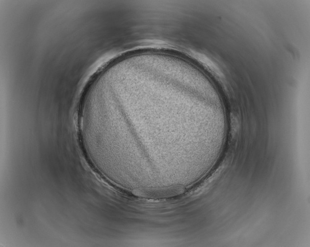 X0000111901318200908101132