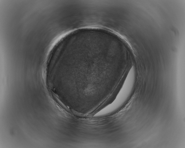 X0000111901319200908101132