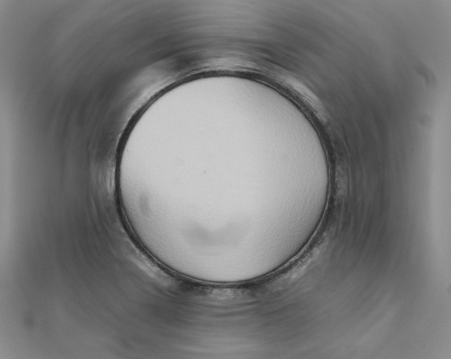 X0000111901322200908101132