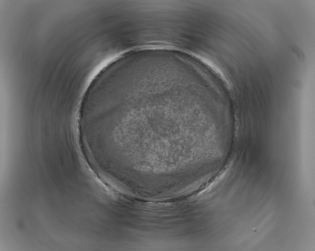 X0000111901325200908101132