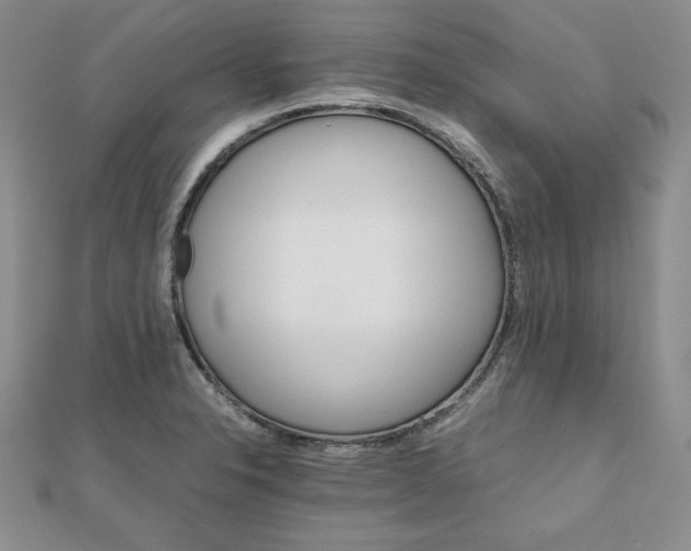 X0000111901326200908101132