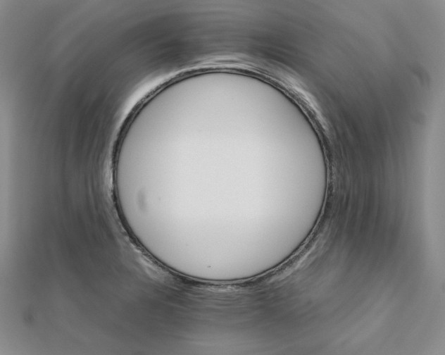 X0000111901328200908101132