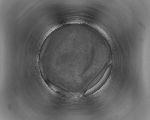 X0000111901329200908101132