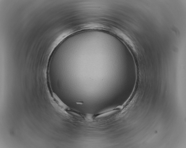 X0000111901330200908101132