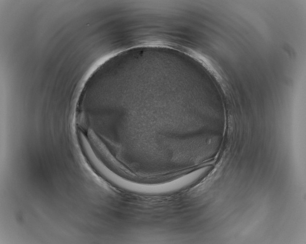 X0000111901331200908101132