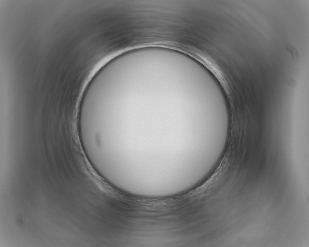 X0000111901332200908101132