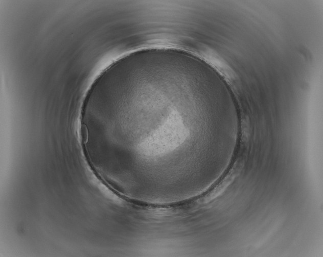 X0000111901334200908101132