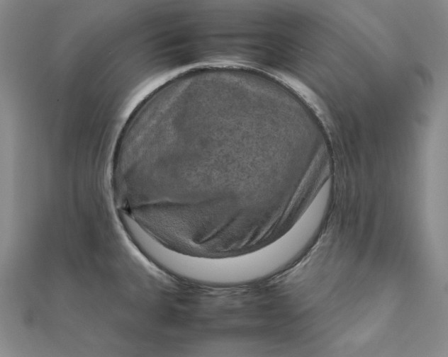 X0000111901335200908101132