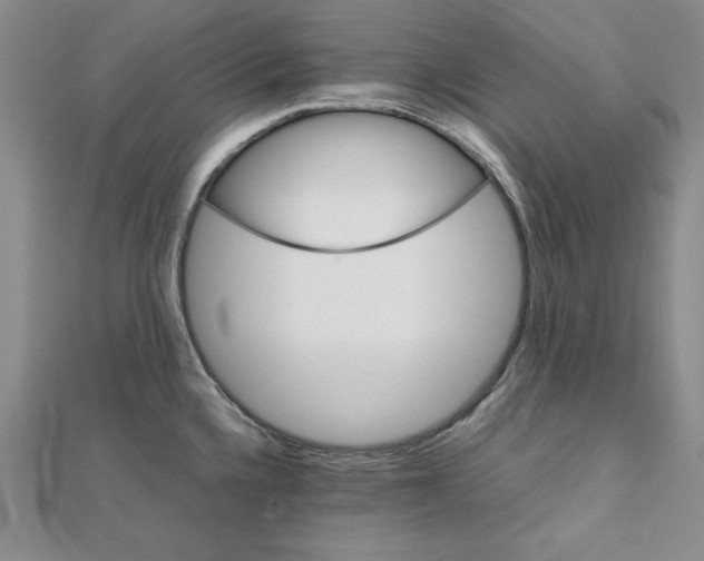 X0000111901336200908101132