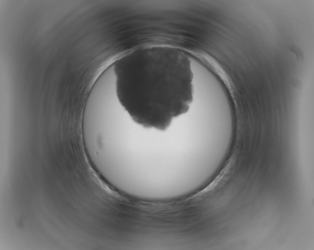 X0000111901337200908101132