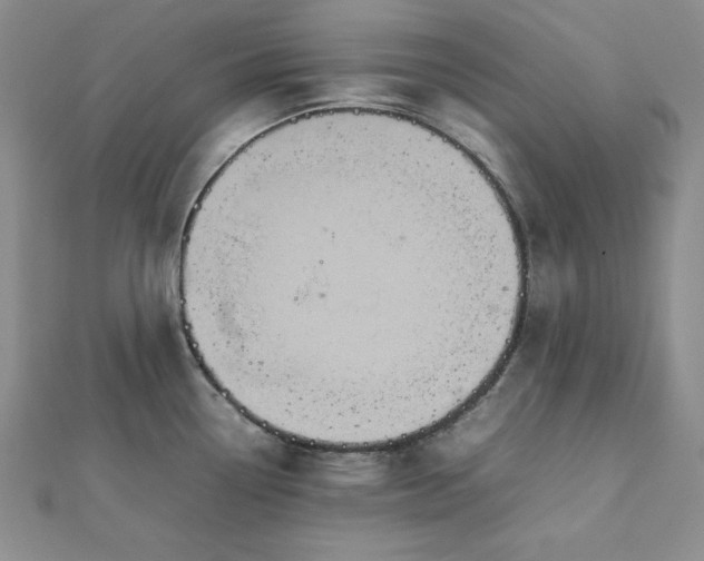 X0000111901338200908101132