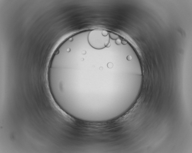 X0000111901339200908101132