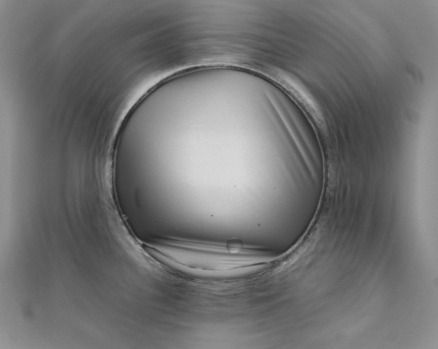 X0000111901340200908101132