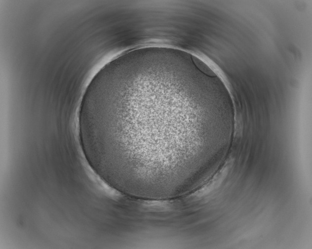 X0000111901341200908101132