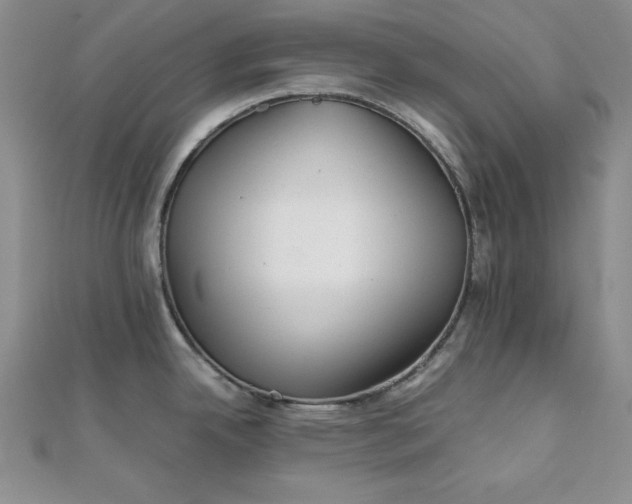 X0000111901342200908101132