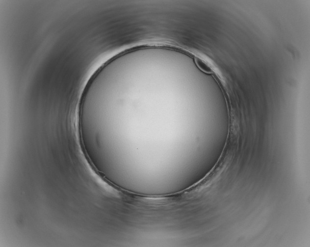 X0000111901343200908101132