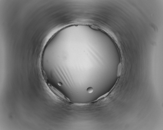 X0000111901344200908101132