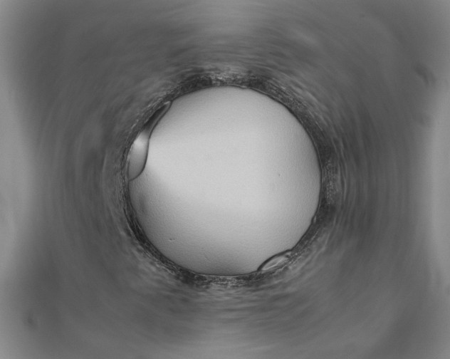 X0000111901345200908101132