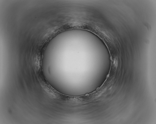 X0000111901348200908101132