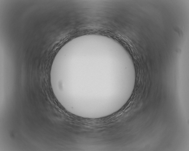 X0000111901349200908101132