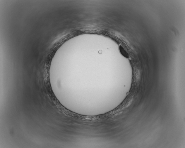 X0000111901350200908101132