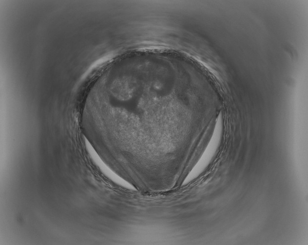 X0000111901351200908101132