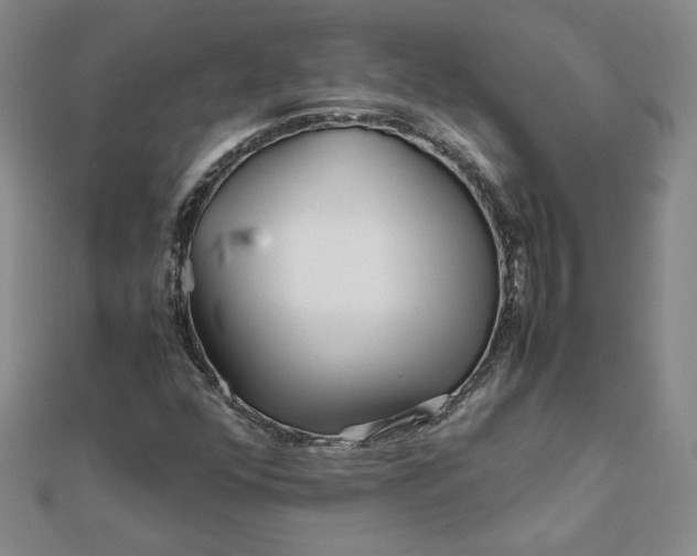 X0000111901352200908101132