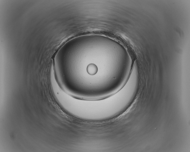 X0000111901353200908101132