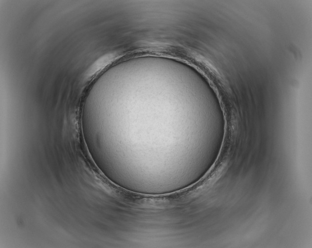 X0000111901354200908101132