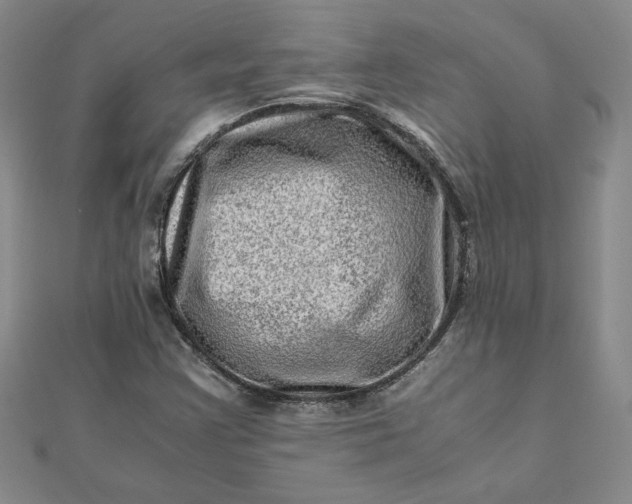 X0000111901355200908101132