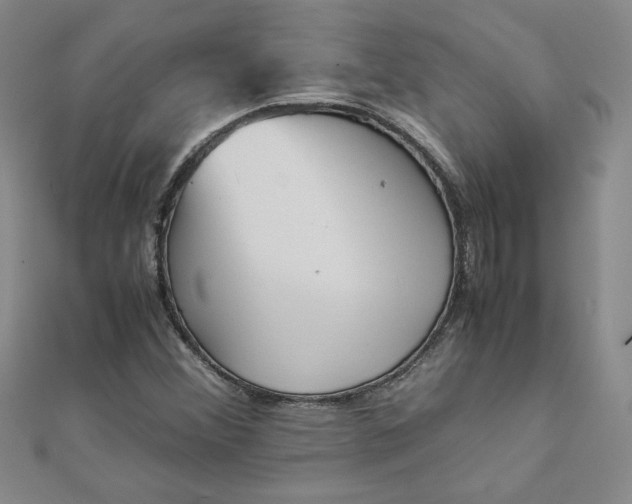 X0000111901356200908101132