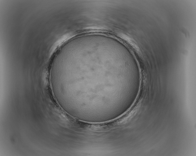 X0000111901357200908101132