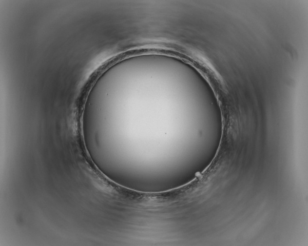 X0000111901360200908101132