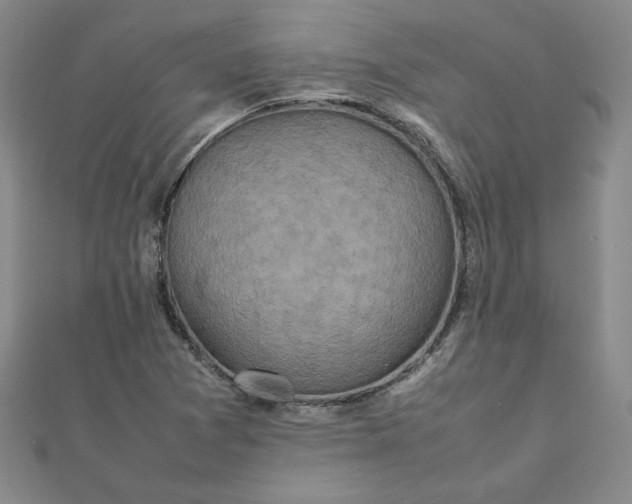 X0000111901361200908101132