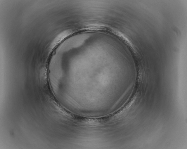 X0000111901362200908101132